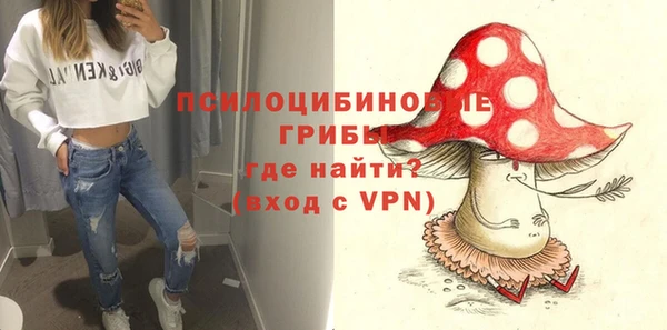 эйфоретик Алексин