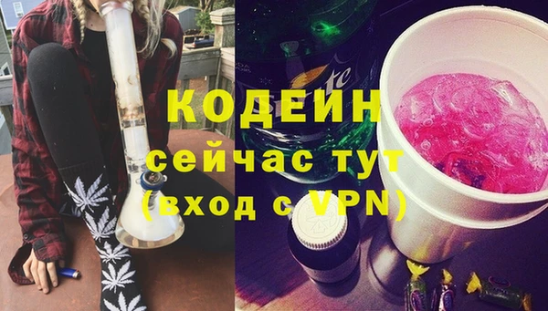 хмурый Ельня